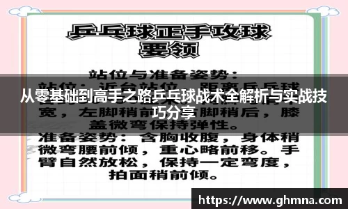 从零基础到高手之路乒乓球战术全解析与实战技巧分享